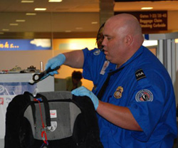 Transportation Security Administration - Wikipedia, the free ...