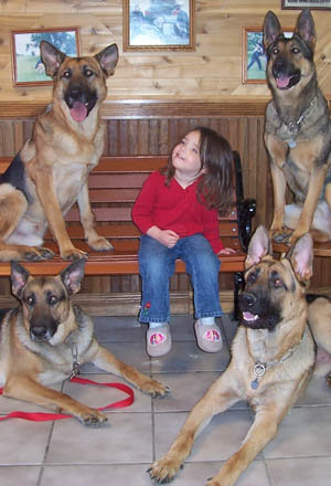 Personal Protection Dogs | Detection Dogs &amp; Bomb Dogs for Sale ...