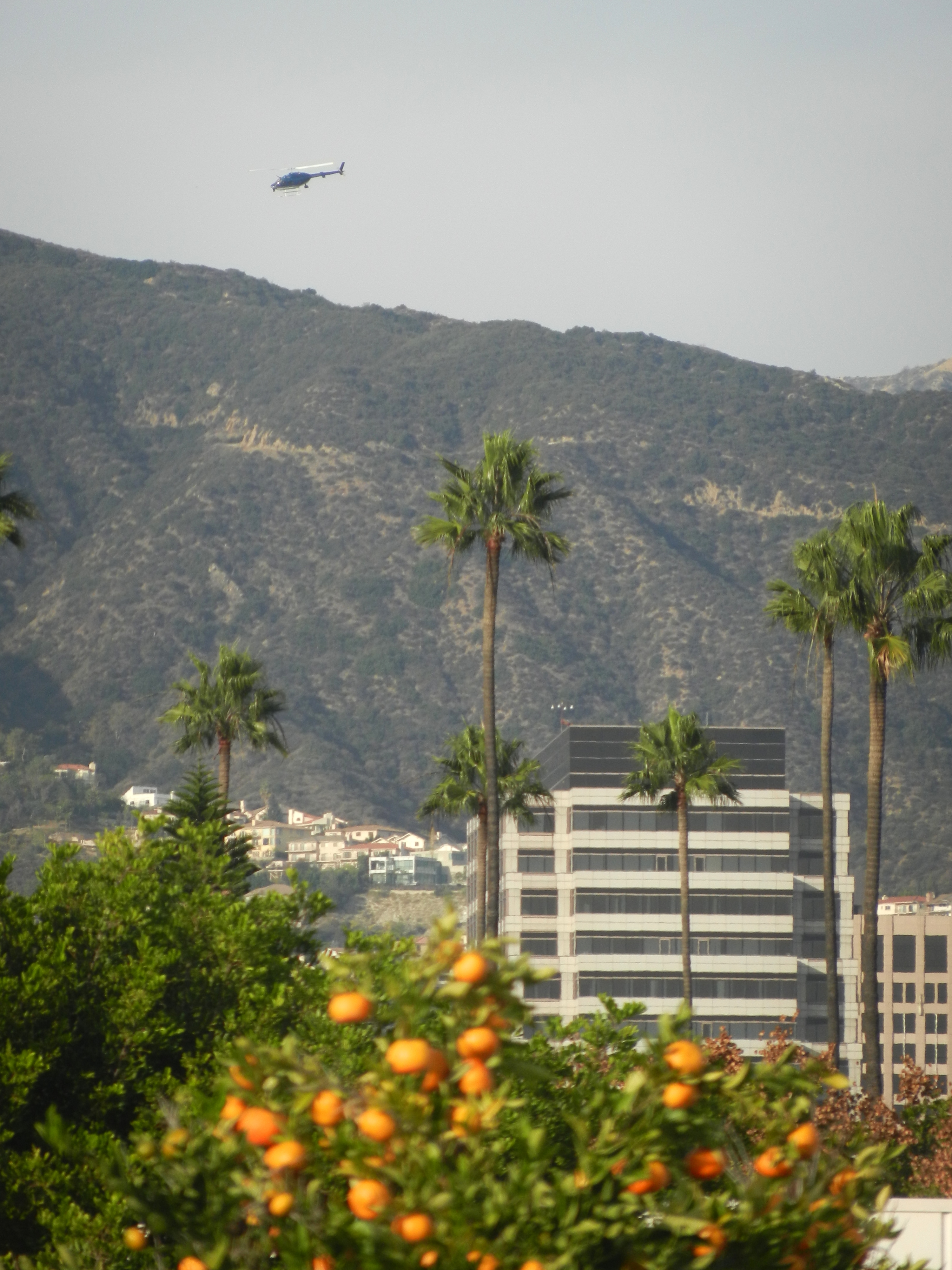 Police Helicopter Over Downtown Glendale