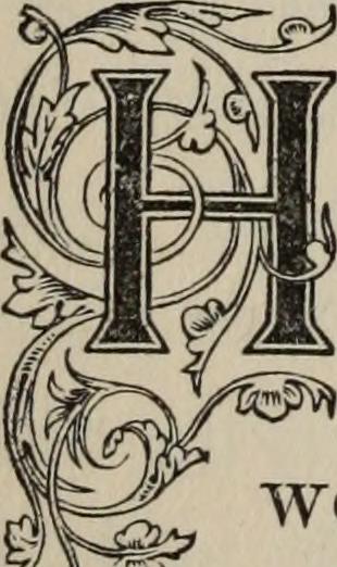 Image from page 313 of "My story of the war: a woman's narrative of four years personal experience as nurse in the Union army, and in relief work at home, in hospitals, camps, and at the front, during the war of the rebellion" (1889)