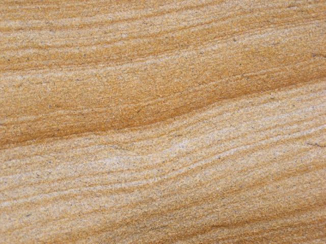 Sydney Sandstone Strata