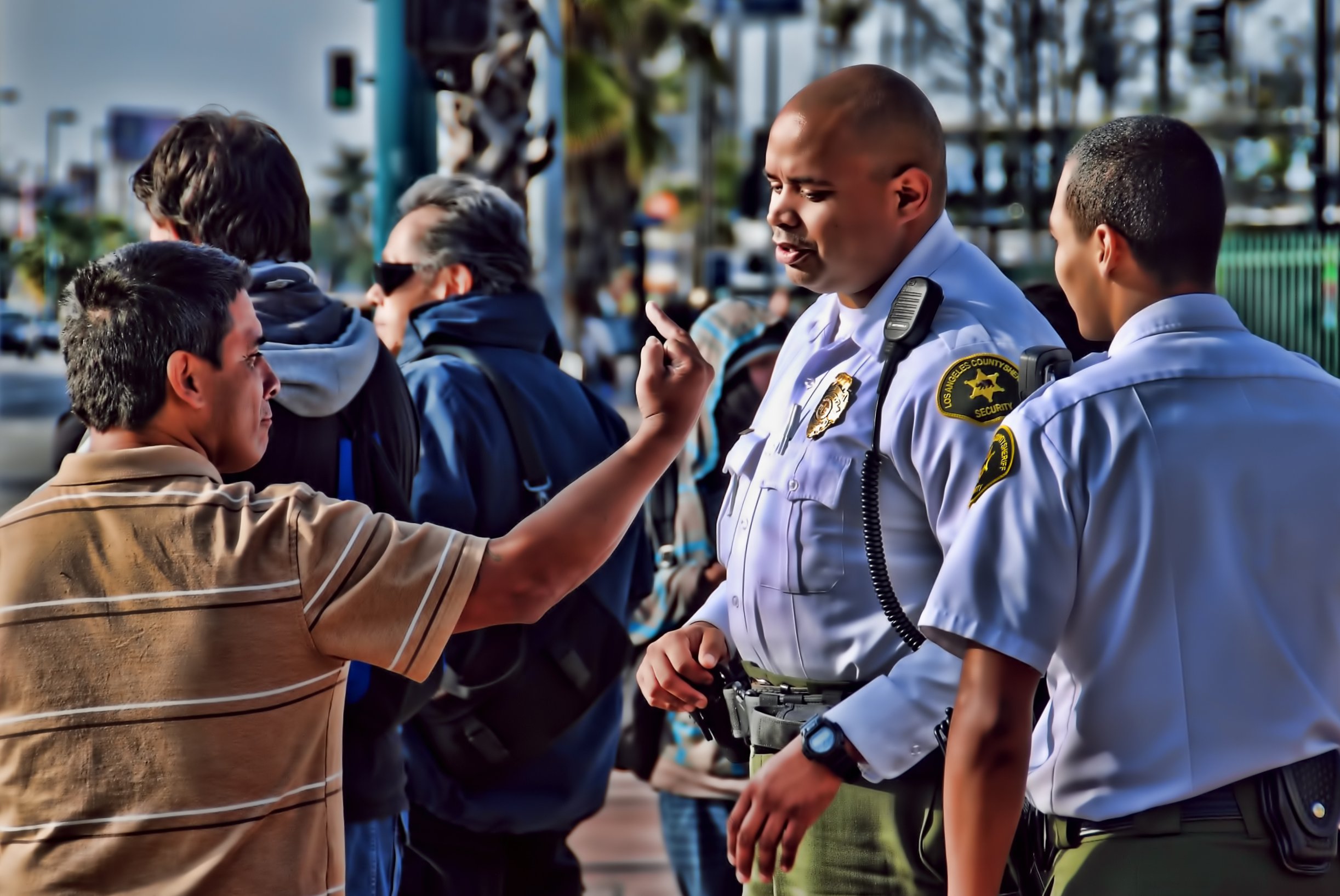 Los Angeles County Sheriff's Metro Security