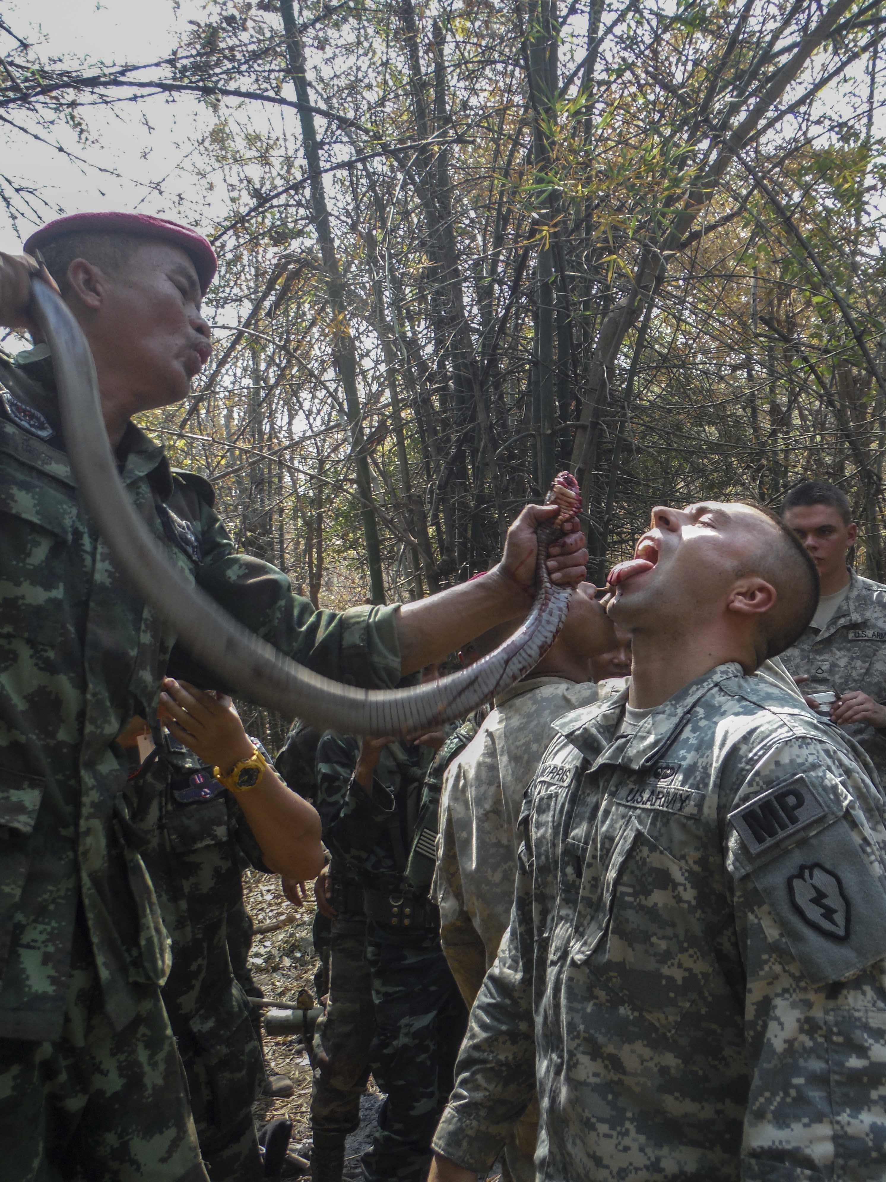 US soldiers learn to survive in Thailand [Image 2 of 3]