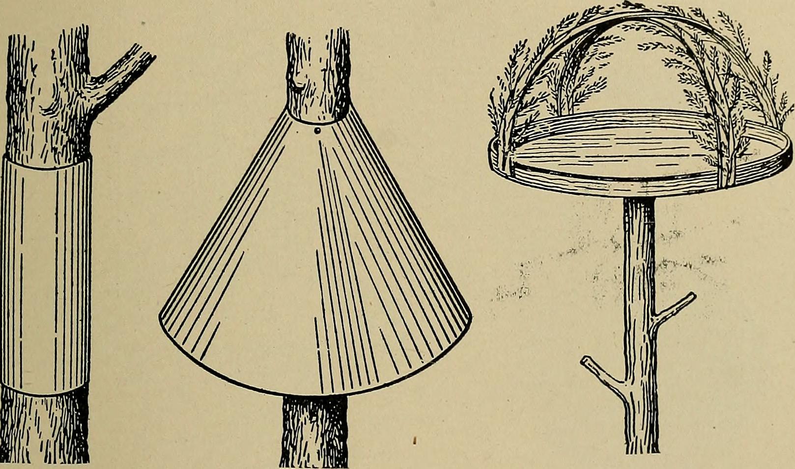 Image from page 398 of "Horticulture; a text book for high schools and normals, including plant propagation; plant breeding; gardening; orcharding; small fruit growing; forestry; beautifying home grounds; the soils and enemies involved" (1919)