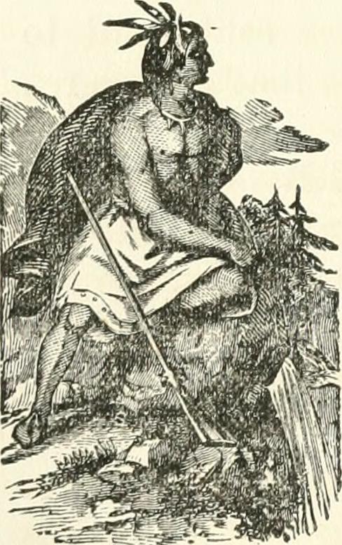 Image from page 81 of "Wild life in the far west : personal adventures of a border mountain man" (1874)