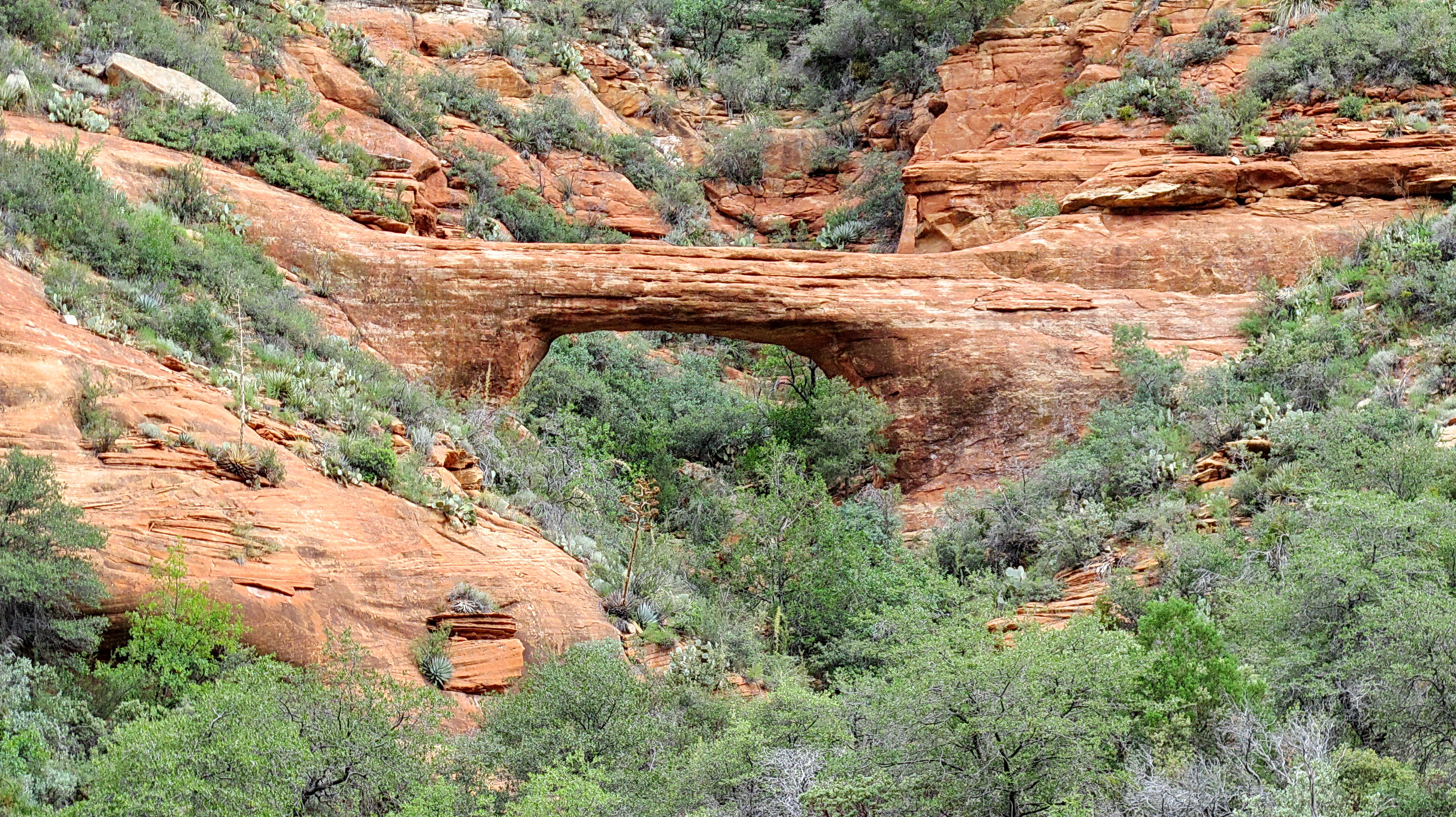 Vultee Arch - Sedona