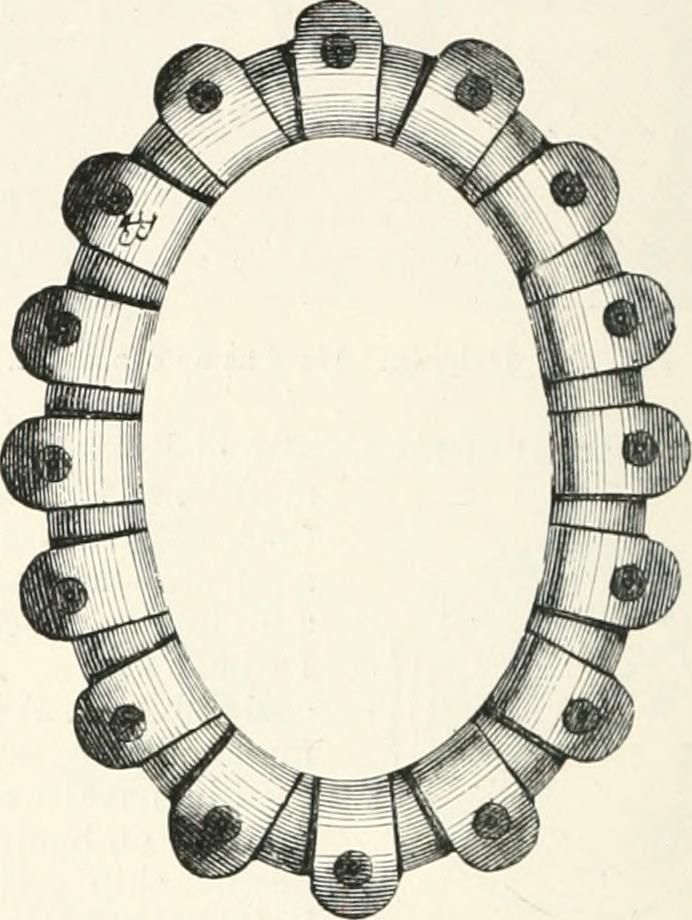 Image from page 119 of "An illustrated dictionary of words used in art and archaeology. Explaining terms frequently used in works on architecture, arms, bronzes, Christian art, colour, costume, decoration, devices, emblems, heraldry, lace, personal orname