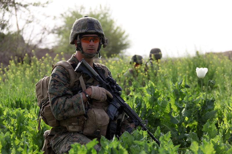 Operation Enduring Freedom: Marines operate near Combat Outpost Ouellette [Image 11 of 16]
