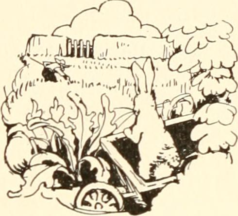 Image from page 419 of "Stories for little children" (1920)