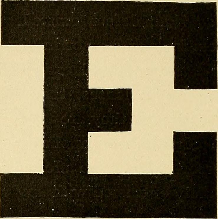 Image from page 271 of "Railway surgery : a handbook on the management of injuries" (1899)