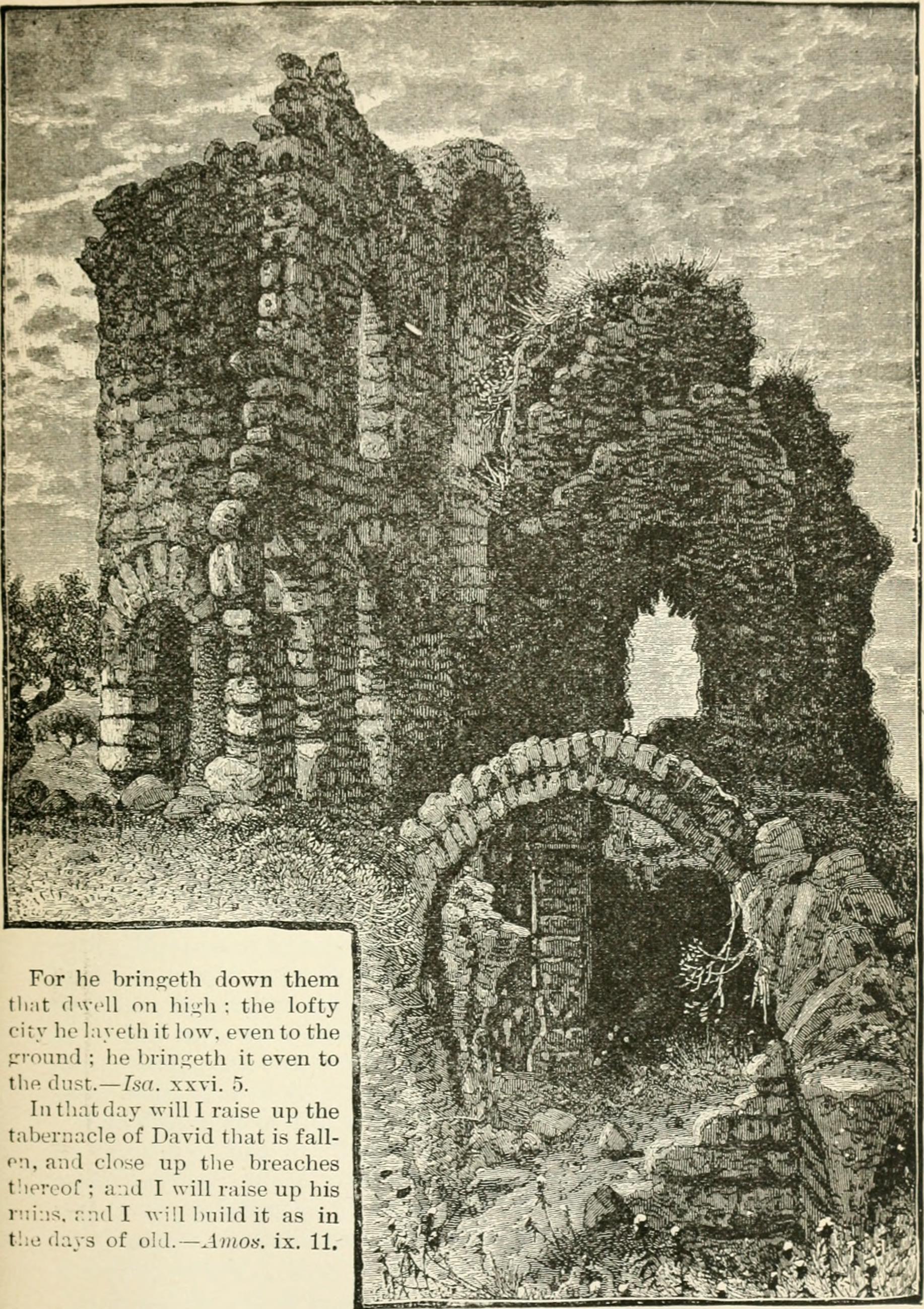 Image from page 246 of "The Holy Land and the Bible;" (1888)