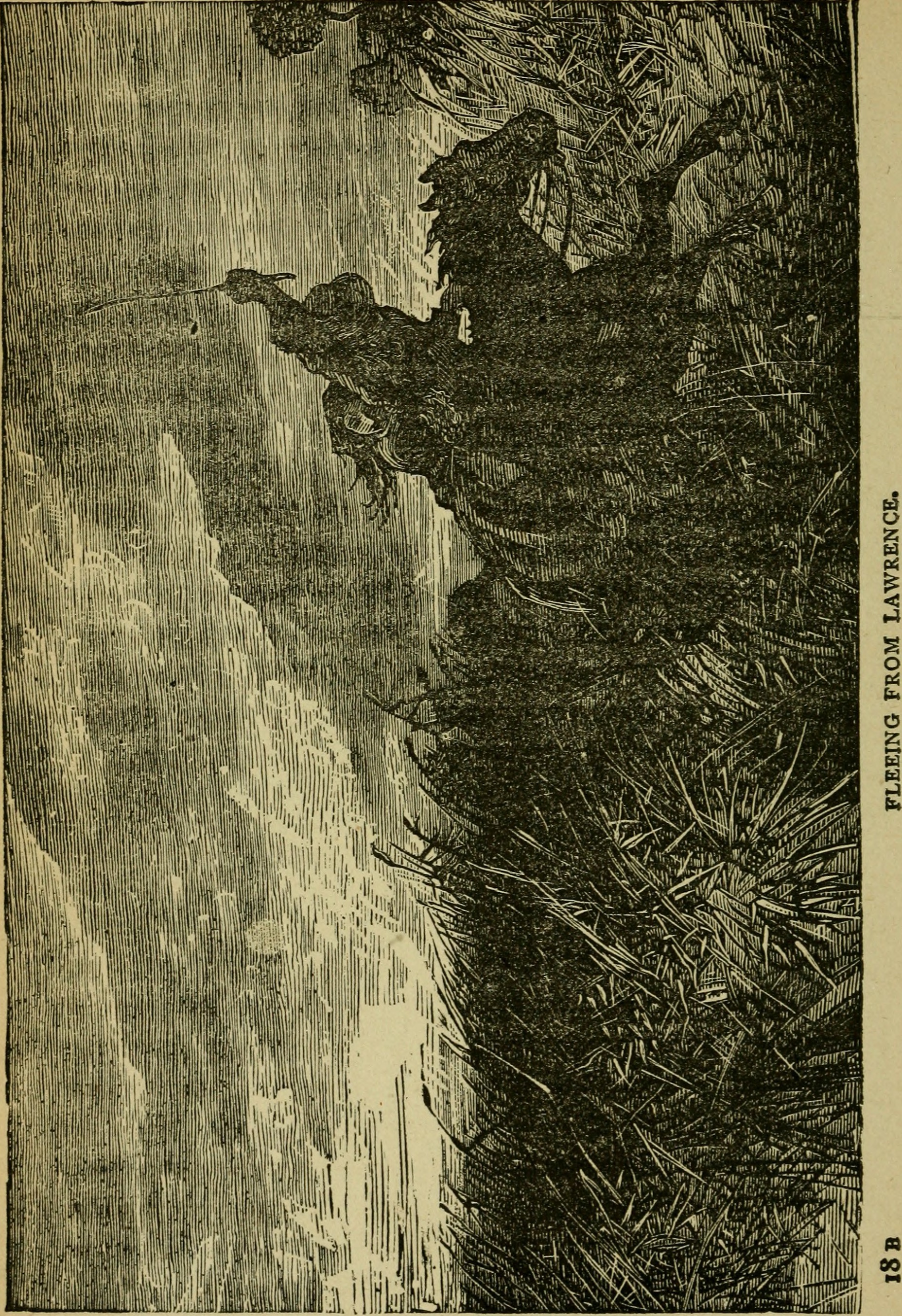 Image from page 27 of "The border bandits : an authentic and thrilling history of the noted outlaws, Jesse and Frank James, and their bands of highwaymen : compiled from reliable sources only and containing the latest facts in regard to these desperate fr