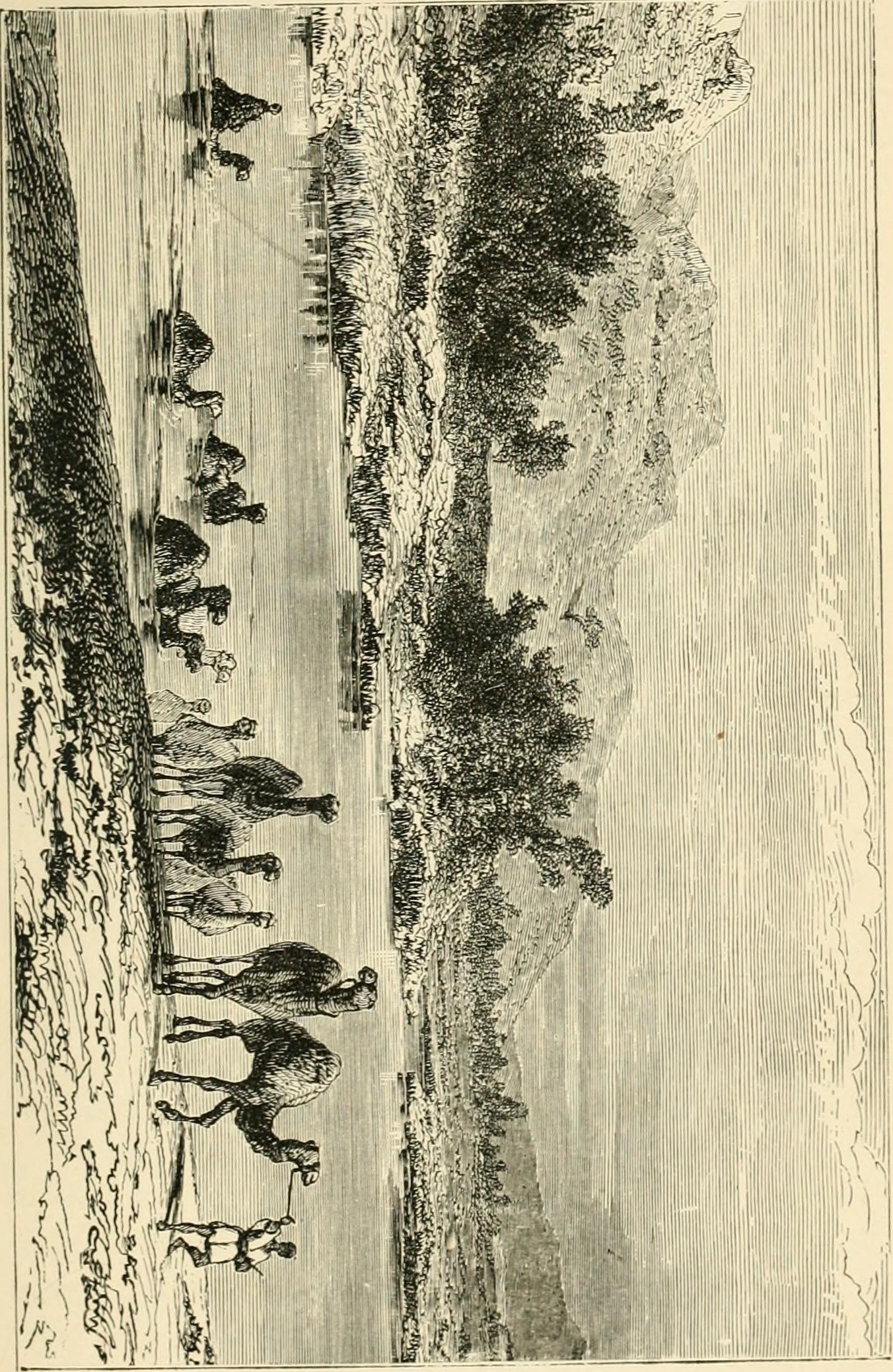 Image from page 42 of "The lake regions of central Africa. A record of modern discovery" (1881)