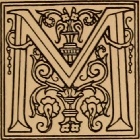 Image from page 256 of "New York Nursery and Child's Hospital Annual Report" (1910)