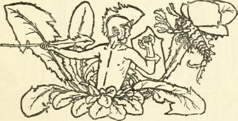 Image from page 90 of "The tempest : a comedy" (1901)