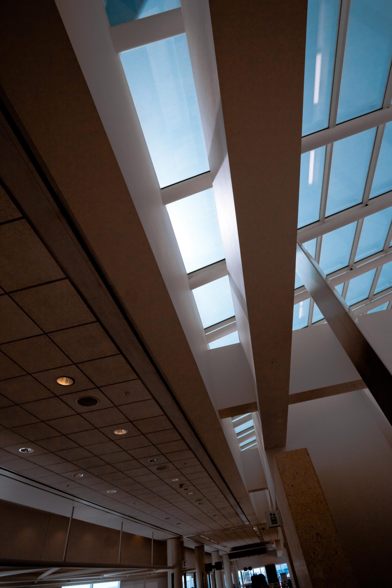 skylights – 2010