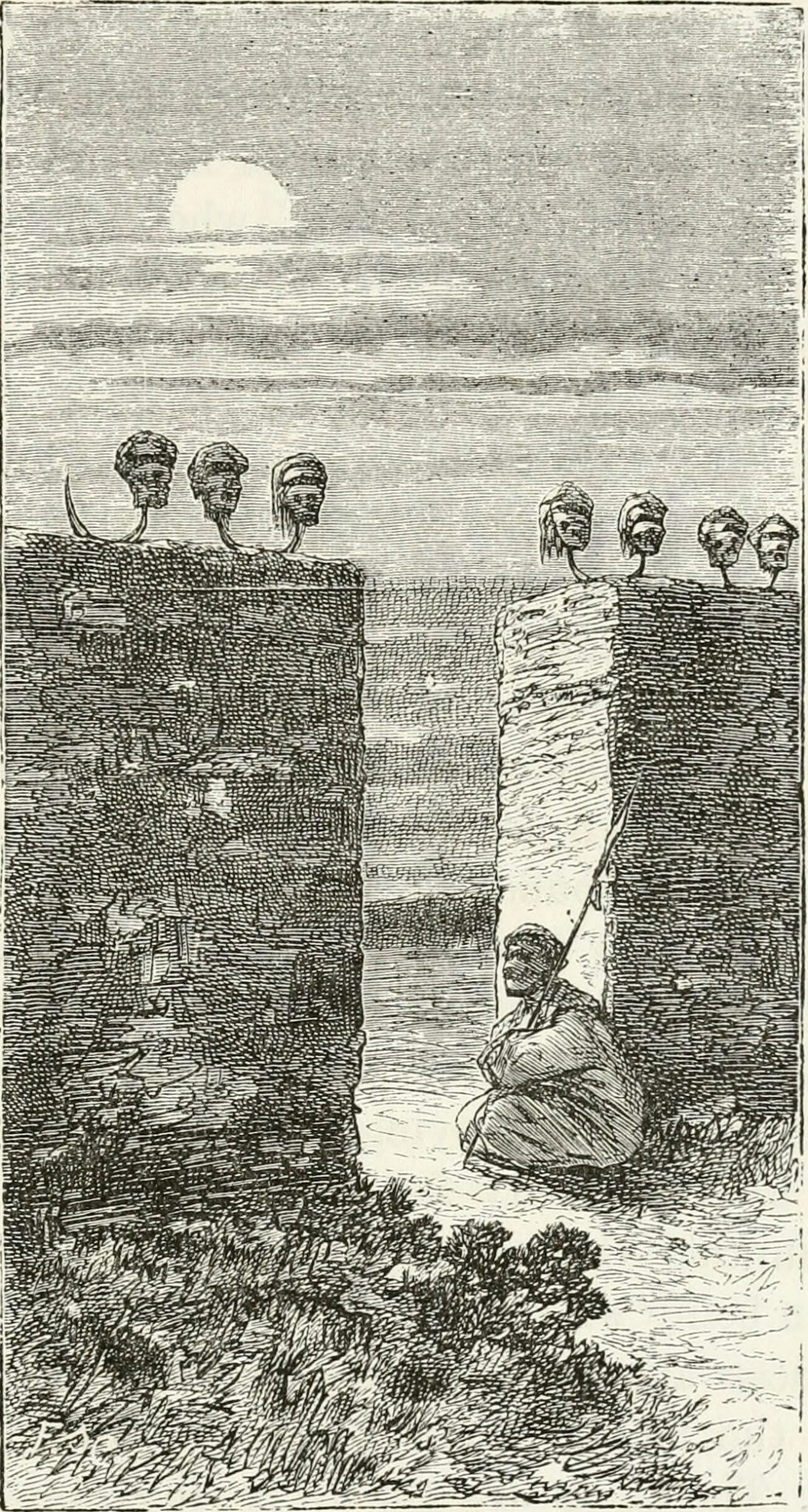 Image from page 202 of "Africa" (1878)
