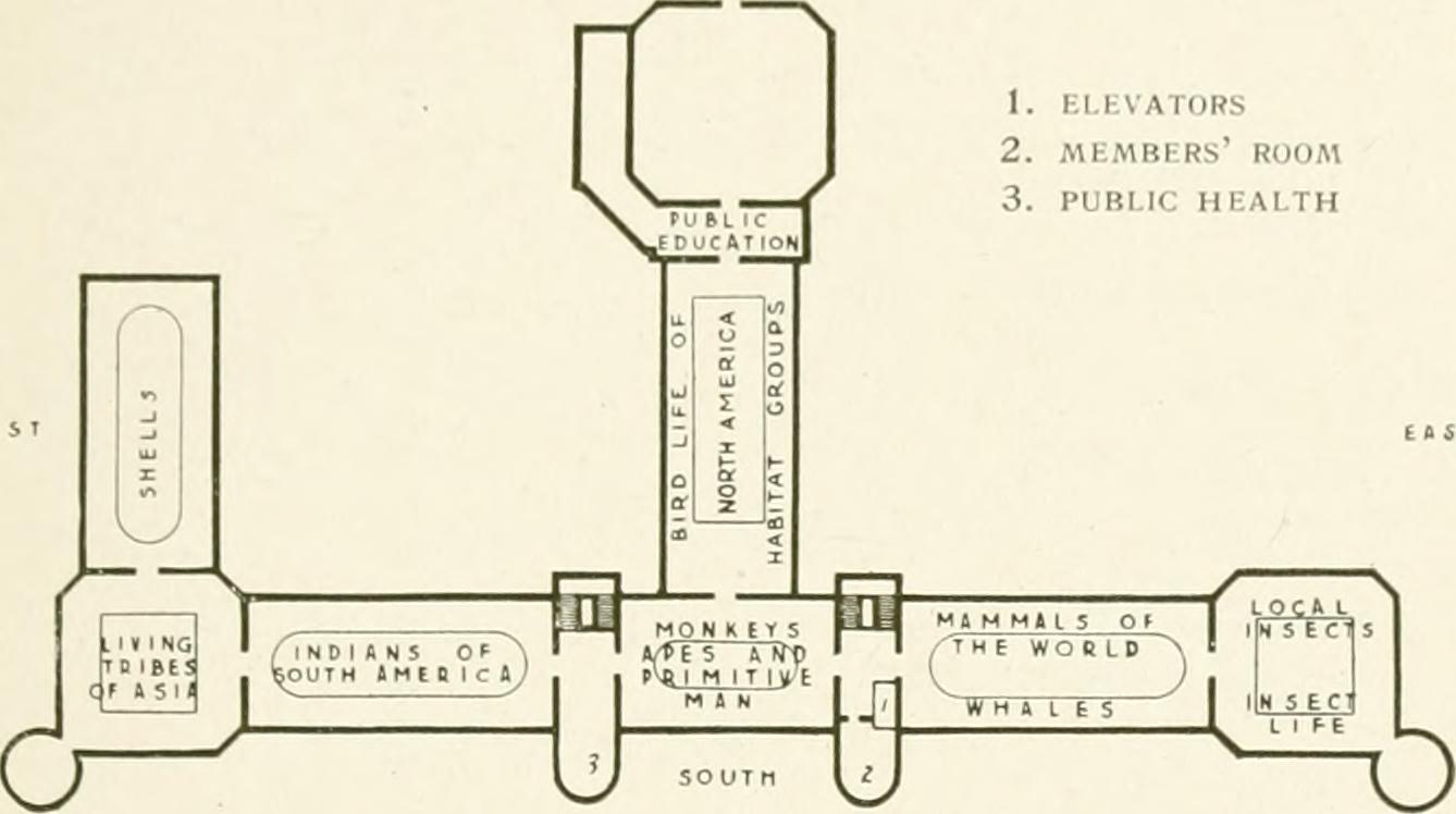 Image from page 82 of "Guide to the nature treasures of New York city; American museum of natural history, New York aquarium, New York zoölogicl park and Botanical garden, Brooklyn museum, Botanic garden and Children's museum" (1917)