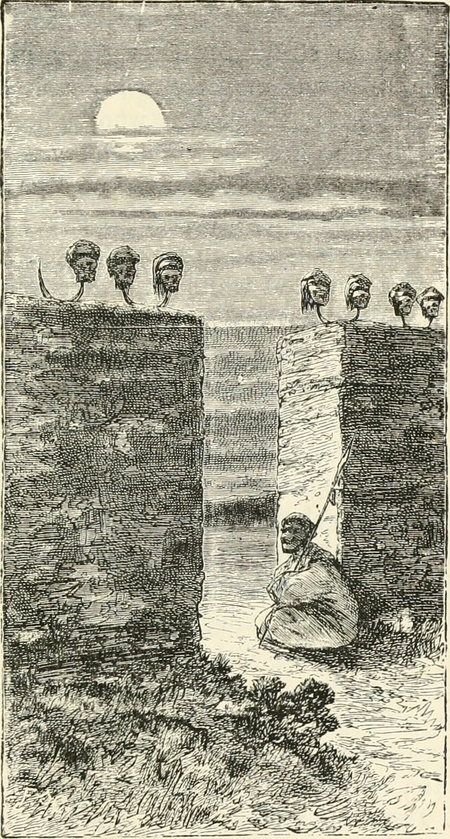 Image from page 184 of "Africa" (1884)