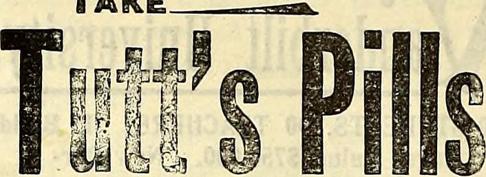 Image from page 597 of "North Carolina Christian advocate [serial]" (1894)