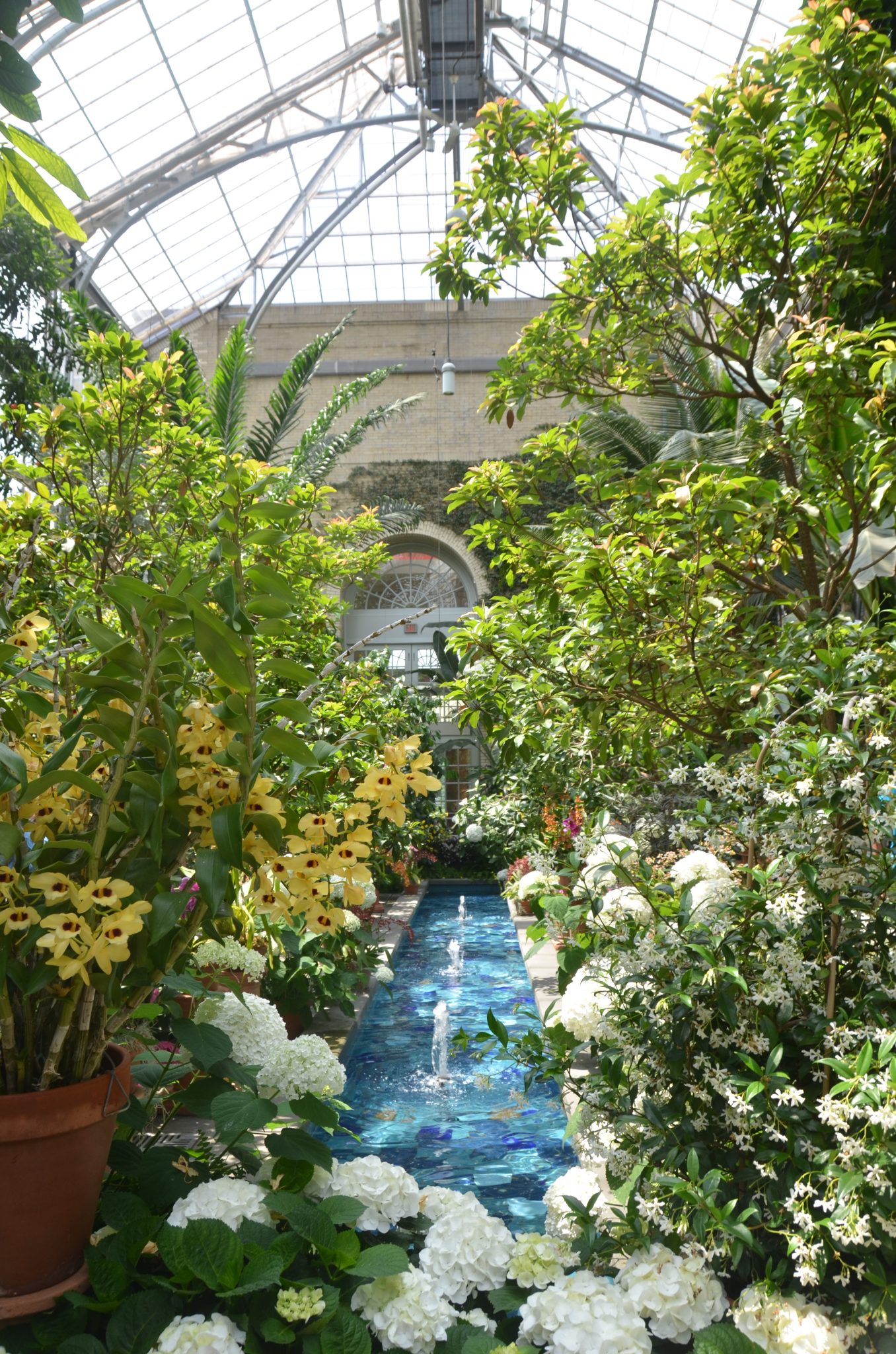 Washington DC 2011: United States Botanic Garden